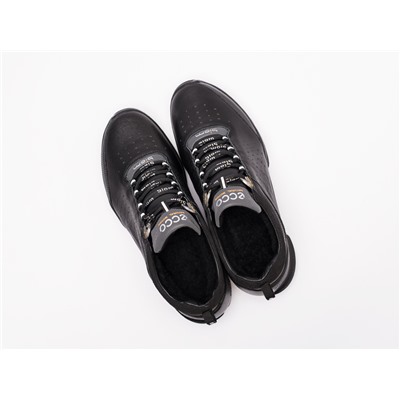 Зимние Кроссовки Ecco Biom