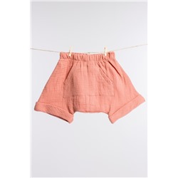 Шорты 423001ср