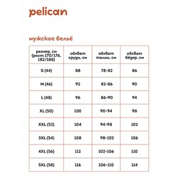 MULB6939(2) (Трусы мужские 2 шт., Pelican )