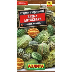 1571A Кукумис декоративный Лавка антиквара, смесь сортов 10 шт
