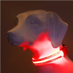 Ошейник с подсветкой Двойная полоса размер XL, ОШ 52-60×2.5 см, 3 режима свечения красный