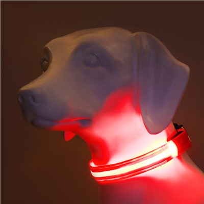 Ошейник с подсветкой Двойная полоса размер XL, ОШ 52-60×2.5 см, 3 режима свечения красный