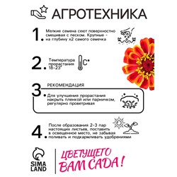 Семена цветов Цинния "Сомбреро", 0,2 г