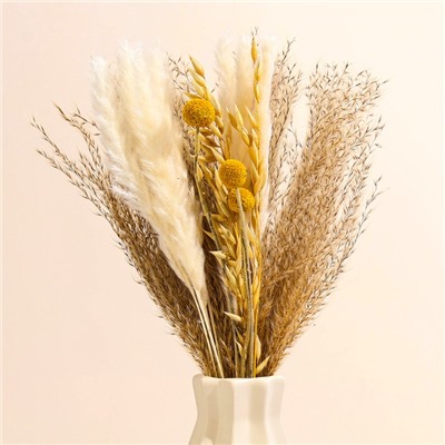 Сухоцветы «Сказка», набор из 4 видов, 48×16×6 см