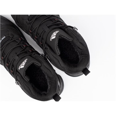 Зимние Ботинки Adidas Terrex Winter