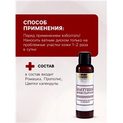 Болтушка Монастырская с салициловой кислотой от прыщей, «Святая рука», 100 мл