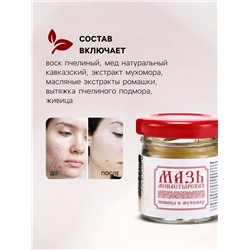 Мазь натуральная заживляющая Живица и мухомор, «Святая рука», 28 мл