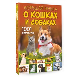 АСТ Барановская И.Г., Смирнов Д.С., Спектор А.А., Прудник А.А. "Большая книга о кошках и собаках. 1001 фотография"