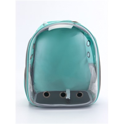 Рюкзак для переноски животных, 31×28×42 см, прозрачный, бирюзовый
