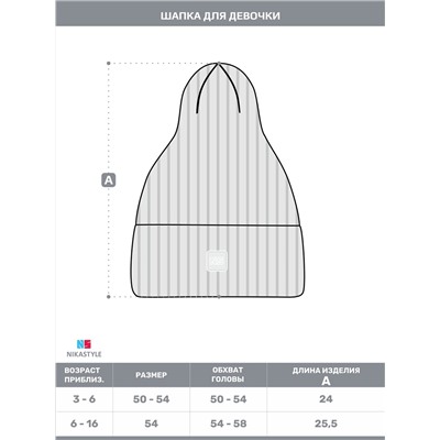 439280 NIKASTYLE Шапка