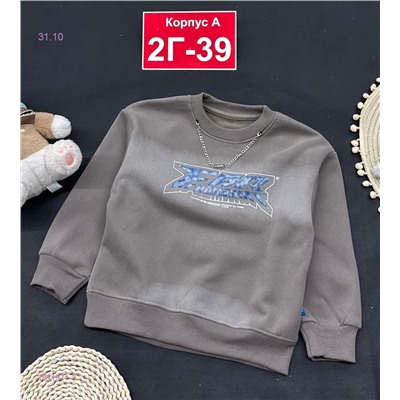 кофта с начесом 1841971-2