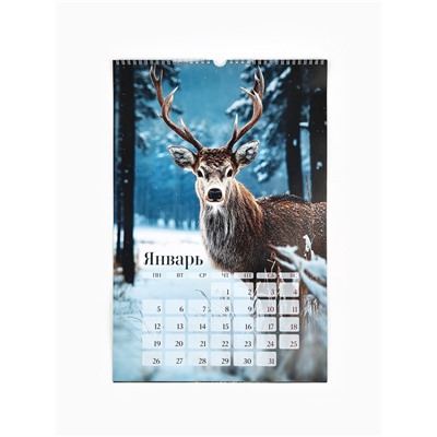 Календарь 2026 перекидной на ригеле А3 «Леса»