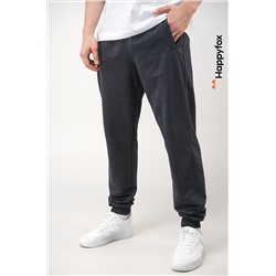 Мужские брюки из футера двухнитки Happyfox