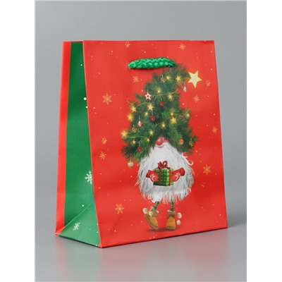 Пакет подарочный «Новогодний домовёнок», 11.5×14.5×6.5 см