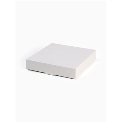 Тарелка суповая новогодняя «Чудесное время», 20×20 см