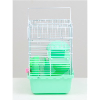 Клетка для грызунов «Пижон», 23×17×26 см, эмаль, зелёная