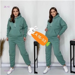 Костюм с начесом 1839482-2