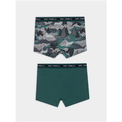 ТРУСЫ МУЖСКИЕ (2ШТ) 411228-2