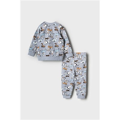 Комплект детский трикотажный для мальчиков: толстовка, брюки PLAYTODAY, 1240167