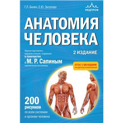 Эксмо Габриэль Лазаревич Билич, Елена Юрьевна Зигалова "Анатомия человека. 2 издание. Атлас с qr-кодами на цветные изображения"