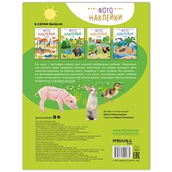 Фотонаклейки. В деревне