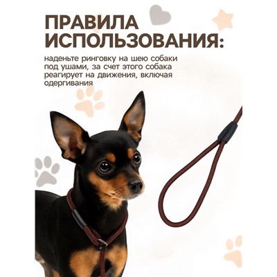 Ринговка для собак, 130×0.6 см, коричневая
