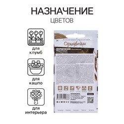 Семена цветов Мордовник «Фиолетовый обыкновенный», 0.2 г, многолетник, «Семена Алтая»