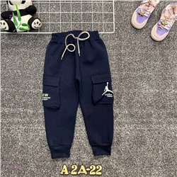 Штаны 1981380-2