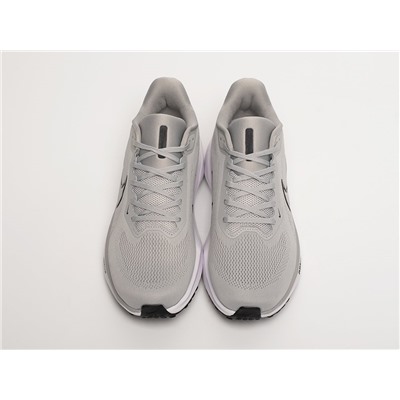 Кроссовки Nike Air Zoom Pegasus 41