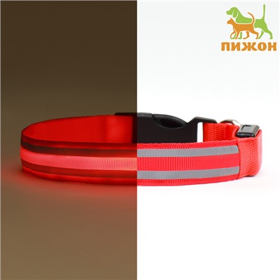 Ошейник с подсветкой Двойная полоса размер XL, ОШ 52-60×2.5 см, 3 режима свечения красный