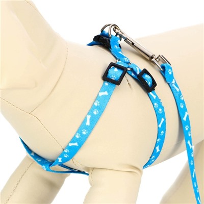 Шлейка с поводком «Классика», ОГ 21-35 см, поводок 120×1 см, капрон, голубая
