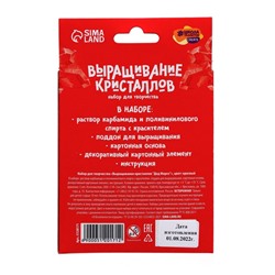Выращивание кристаллов «Дед Мороз», красный, набор для творчества