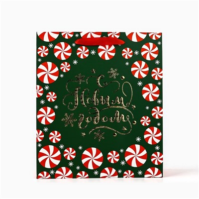 Пакет подарочный новогодний ламинированный «Новогодние чудеса», тиснение, M 30×26×9 см