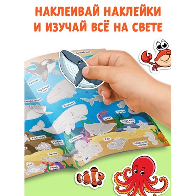 Книги с наклейками многоразовыми «Познавательные», набор 10 шт.