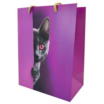 Пакет бумажный 18х23 см "Любопытный кот" 72823 Centrum