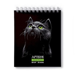 Альбом для зарисовок (скетчбук) 175х200мм 30л на спирали "Нуар" 120 г/м2 жест.подложка, блок черный 01942 (А307) SVETOCH