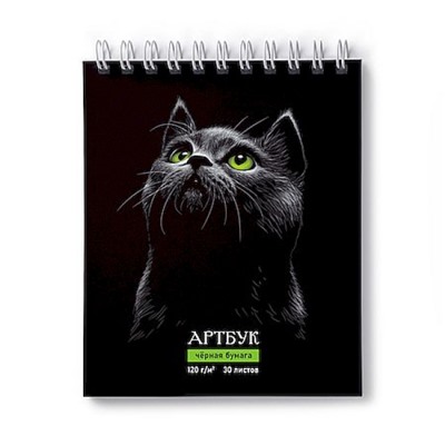 Альбом для зарисовок (скетчбук) 175х200мм 30л на спирали "Нуар" 120 г/м2 жест.подложка, блок черный 01942 (А307) SVETOCH