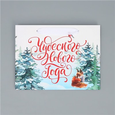 Пакет подарочный новогодний с широким дном «Чудесного Нового года», 25×19×18 см