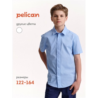 PELICAN Сорочка BWCT7119