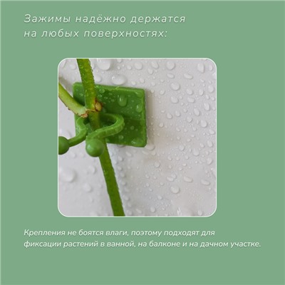 Крепления для вьющихся растений, настенные, самоклеящиеся, «Улитка», d=10 мм, набор 10 шт., Greengo