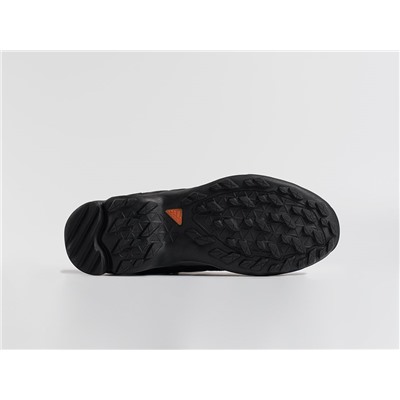 Зимние Ботинки Adidas Terrex Winter