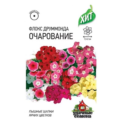 Флокс Очарование смесь ХИТ (Код: 93237)