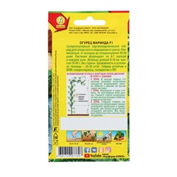 Семена Огурец "Маринда" F1, раннеспелый, партенокарпический, 0,25 г (10шт)