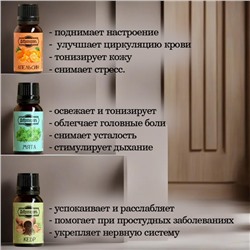 Набор эфирных масел «Лесные ноты» 9 шт. по 17 мл Добропаровъ