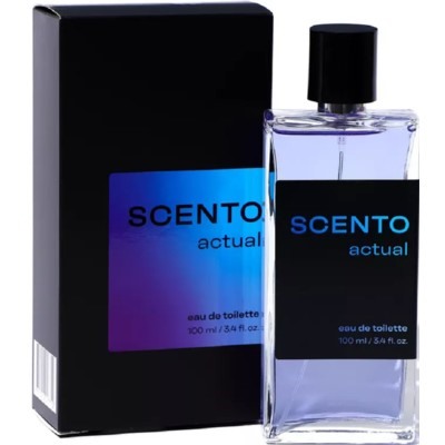 Туалетная вода мужская Actual 100 мл