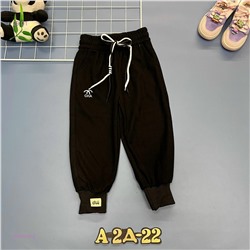 штаны 2058345-2