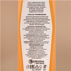 Гель для душа, 250 мл, аромат имбирного печенья, URAL LAB