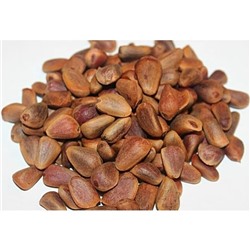 Кедр Сибирский стратифицированны (20шт) (Код: 93476)