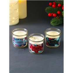 Набор: свечи ароматические новогодние Christmas Vibes, 3 шт., по 60 г