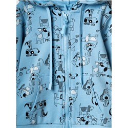 Комплект детский трикотажный для мальчиков: толстовка, брюки